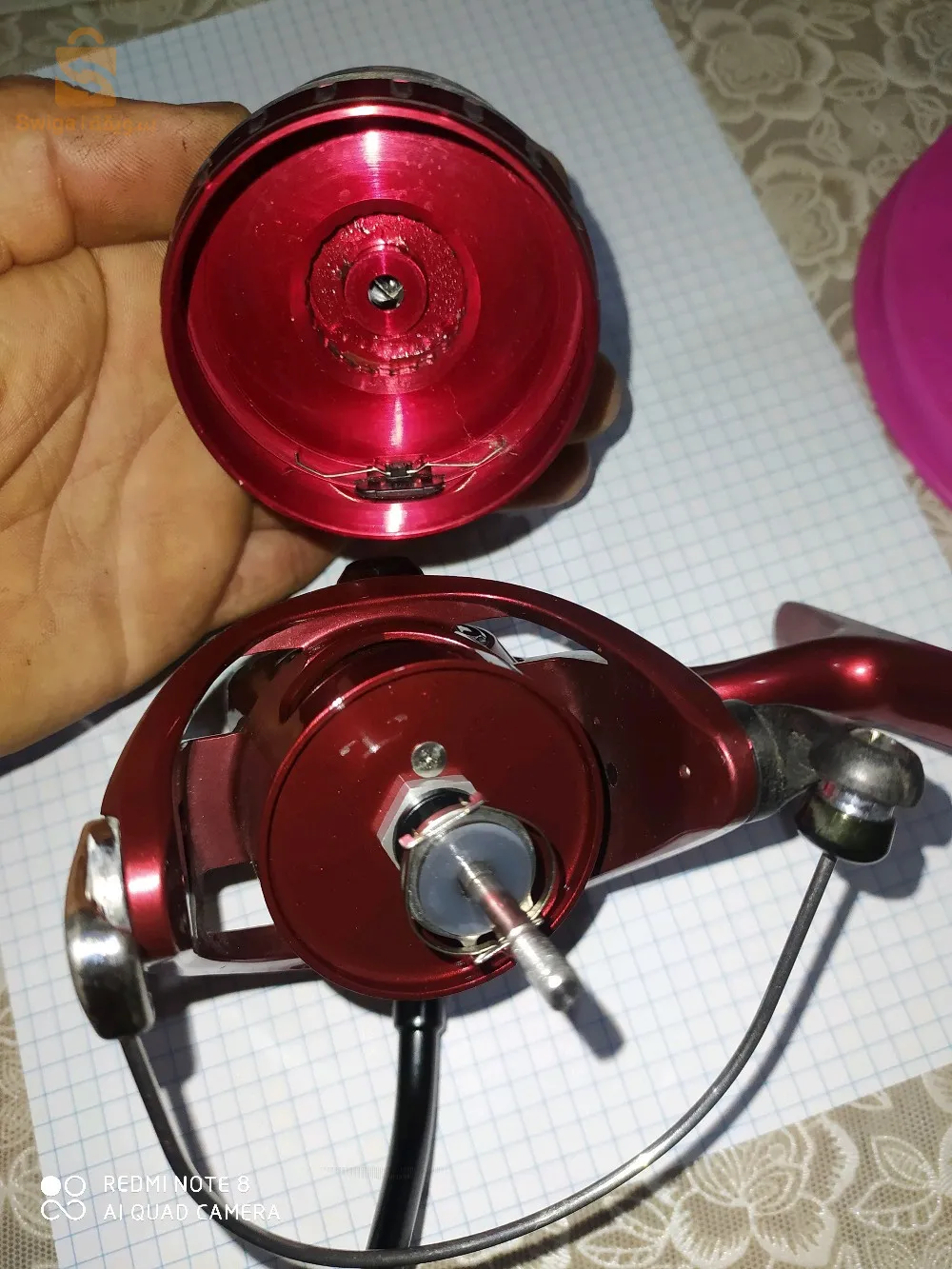 موليني ديوا