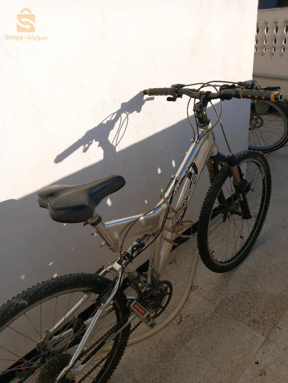 القبة حي الحياة