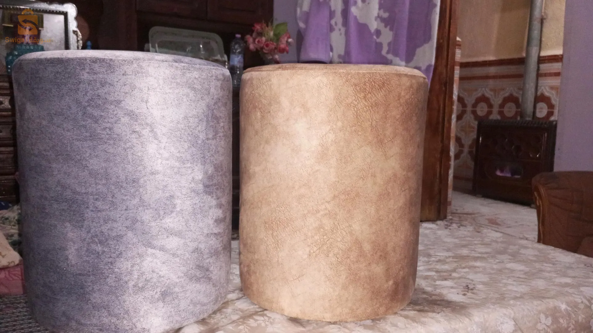 الكاليتوس الجزائر