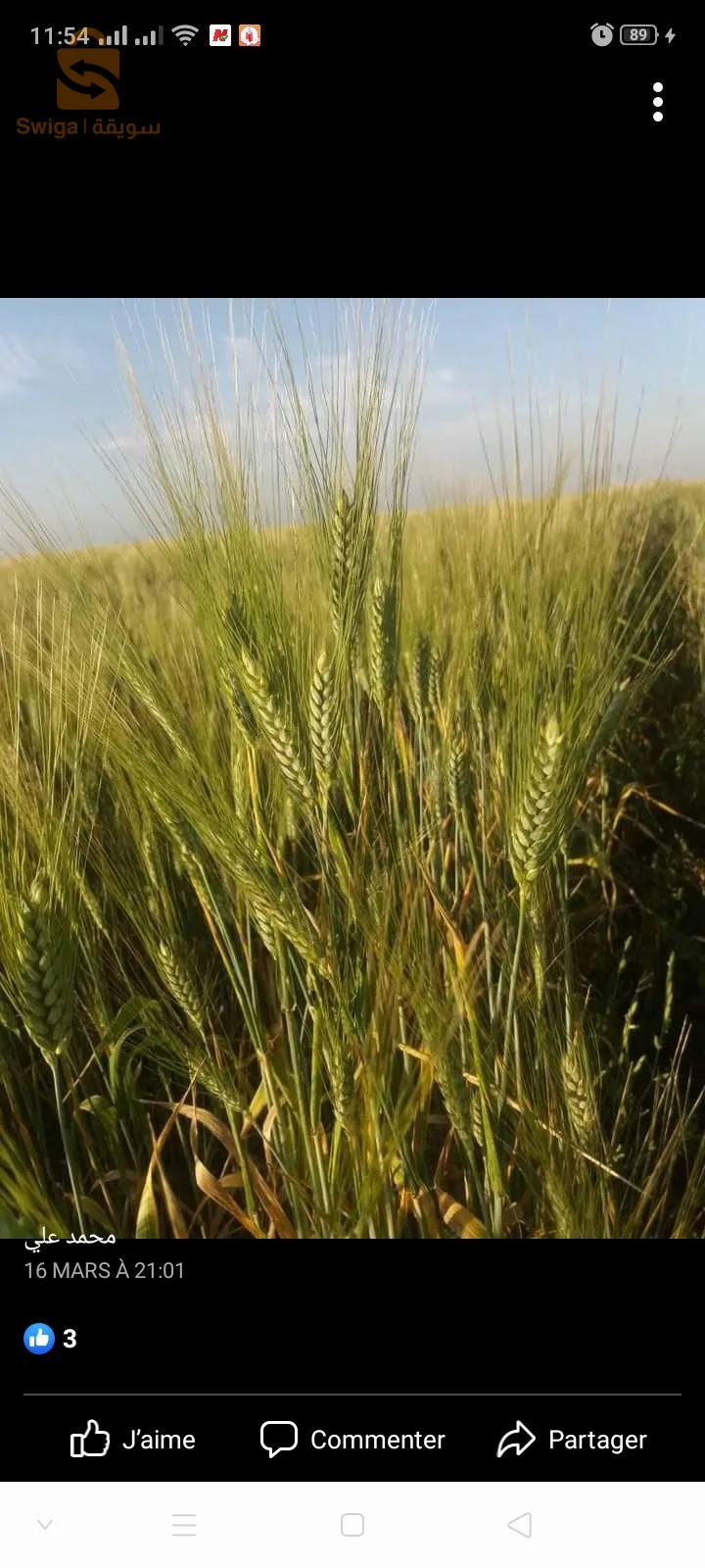 دفاتر عقارية