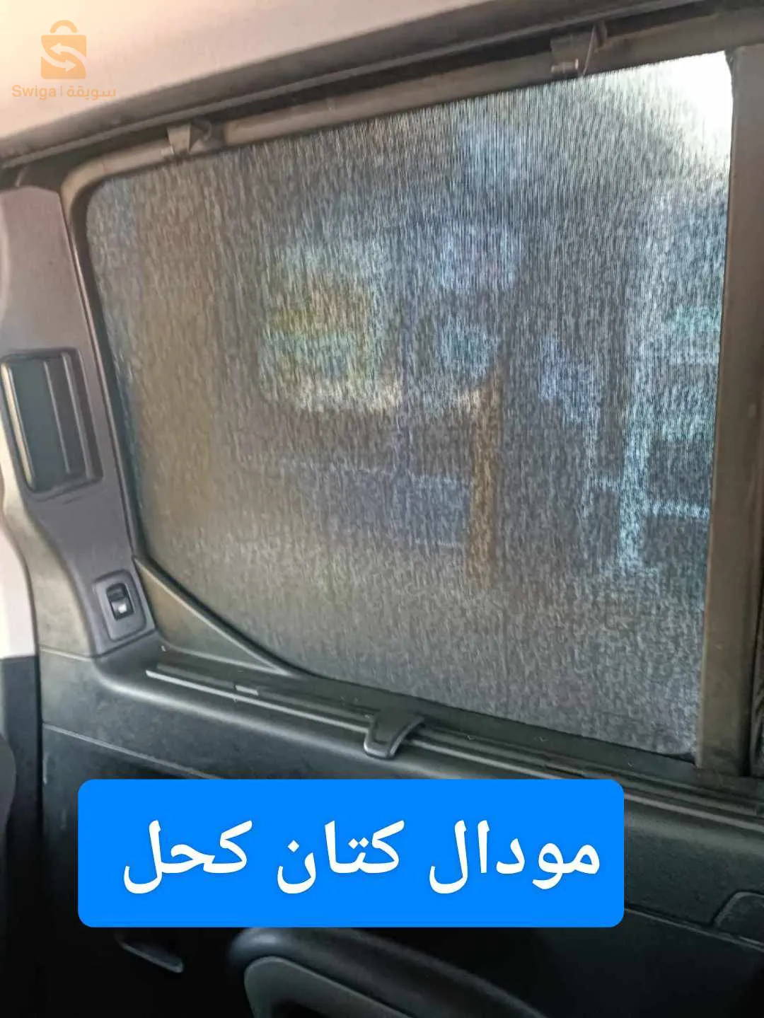 الشلف لاسيتي