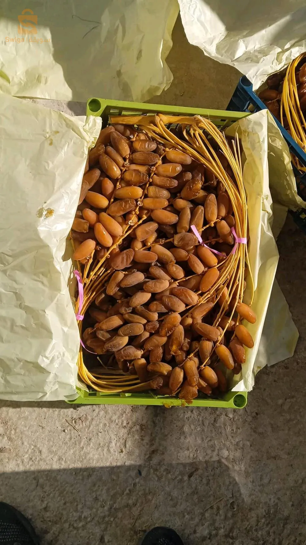 عرجون ما شاء الله