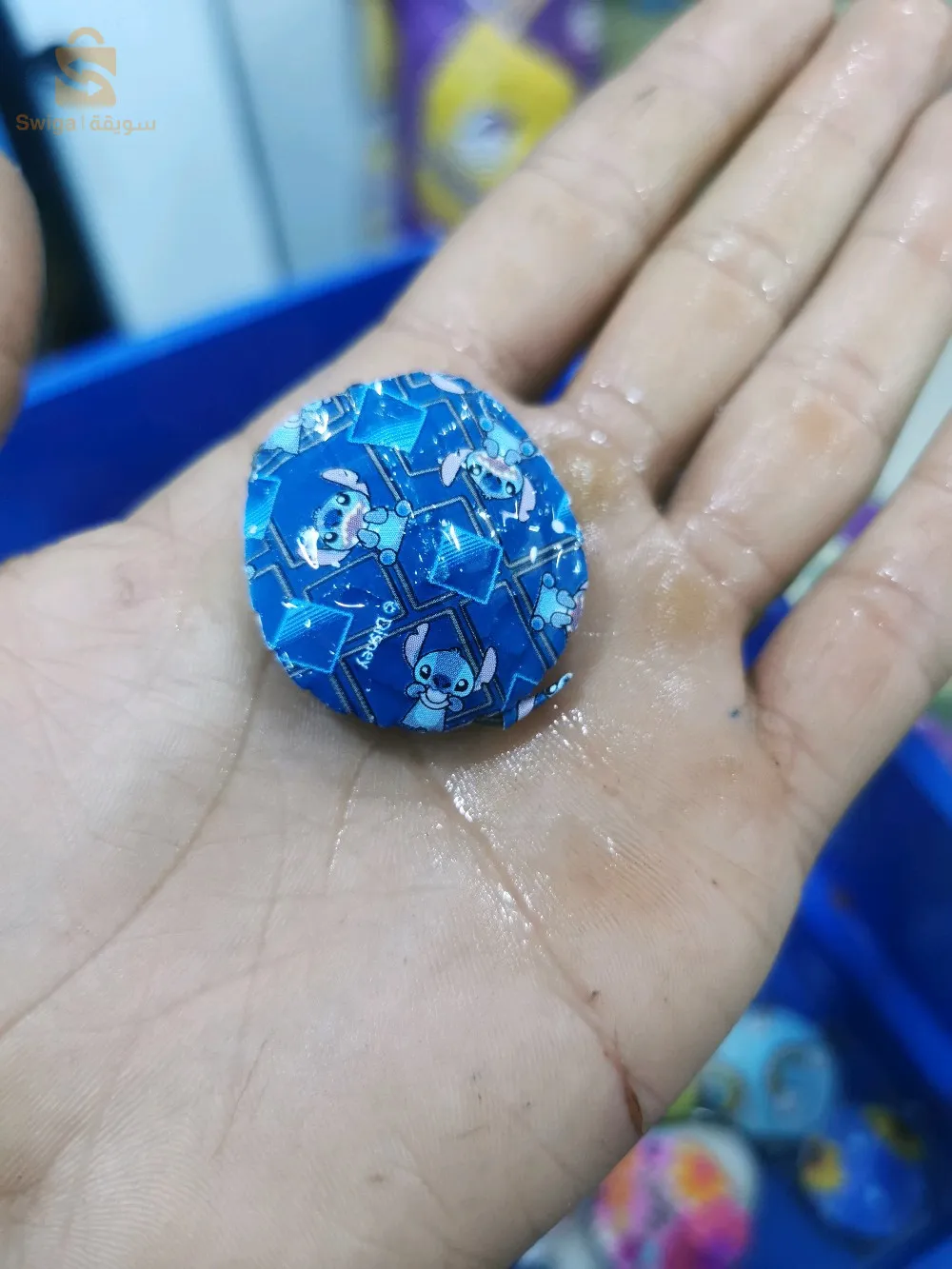 سلاحف برمائية مستوردة