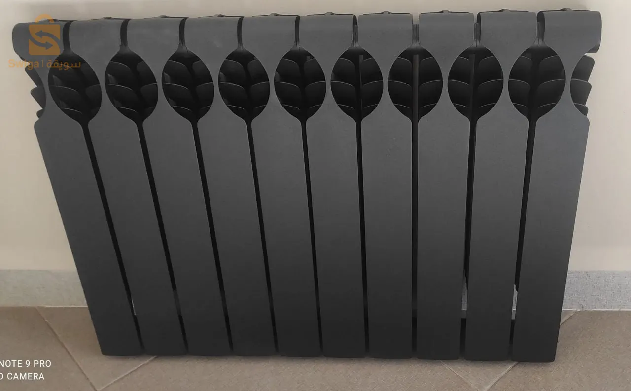 Radiator Star Ronix Algerian