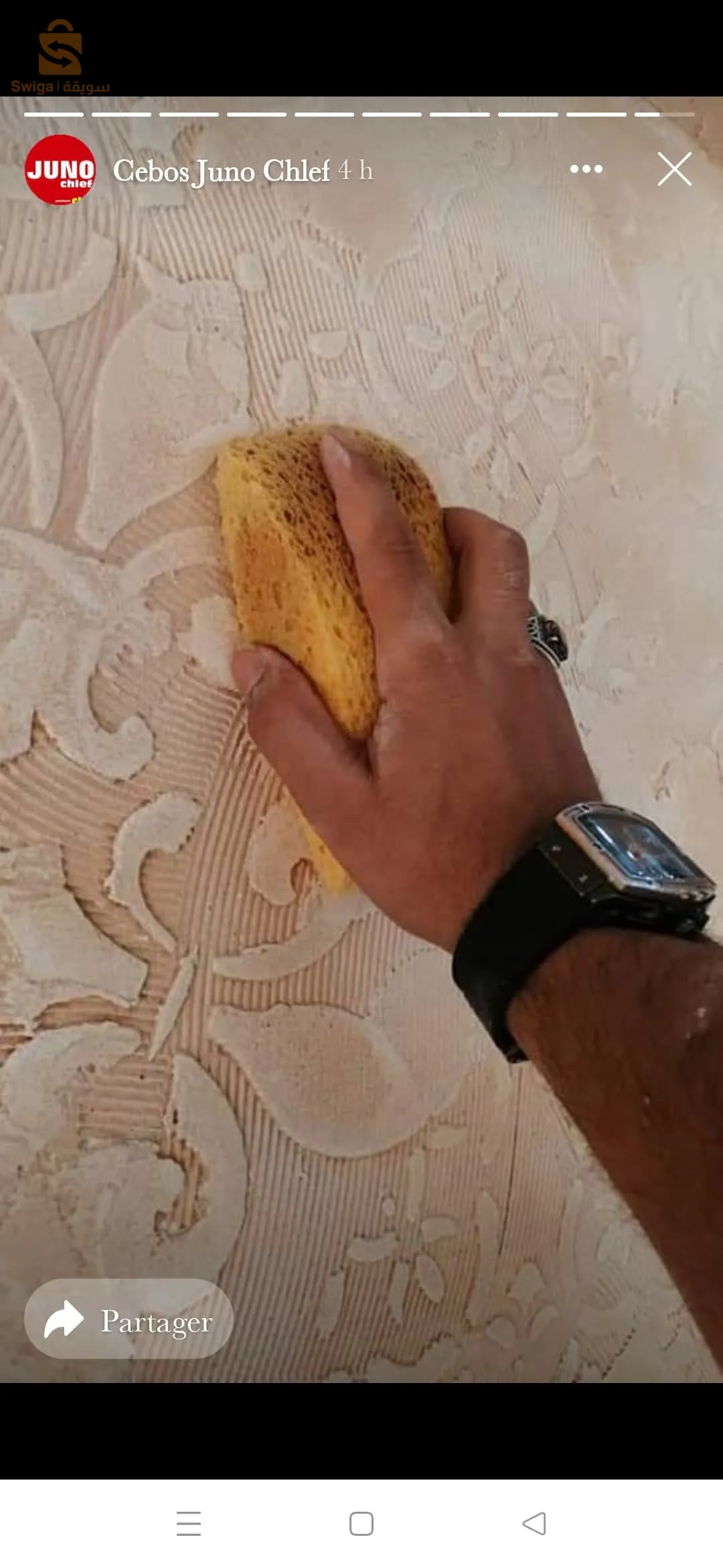 الشلف الشطية