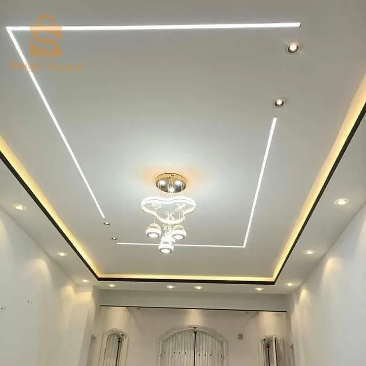 حرفي في مجال بلاكو بلاتر