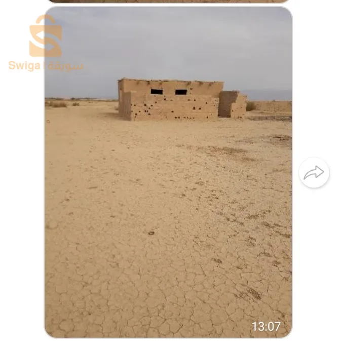 ارض فلاحية في سيدي صالح بدفتر عقاري وعقد ملكية خاصة فيه