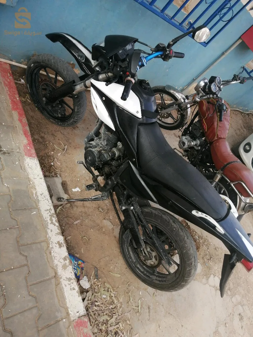 موجوده في الاغواط