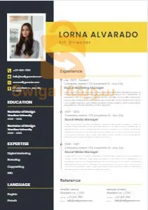 CV professionnel de haute qualité