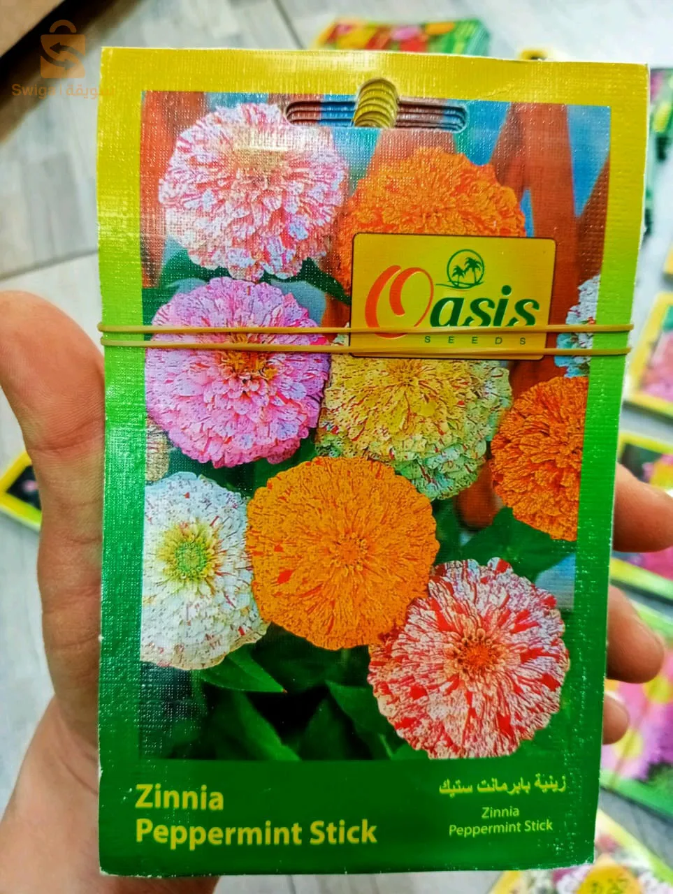 بذور ذات جودةعالية