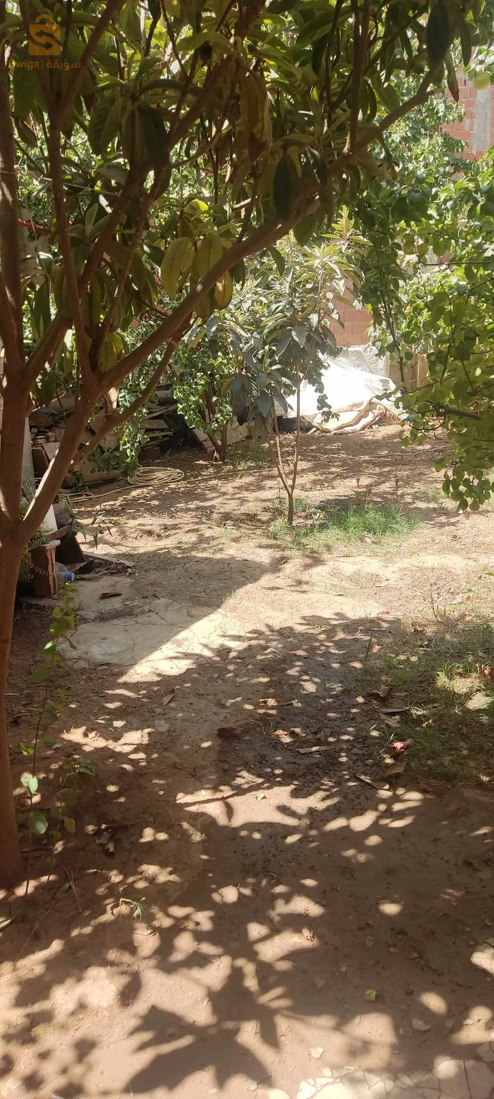 حي بن سونة وسط المدينة