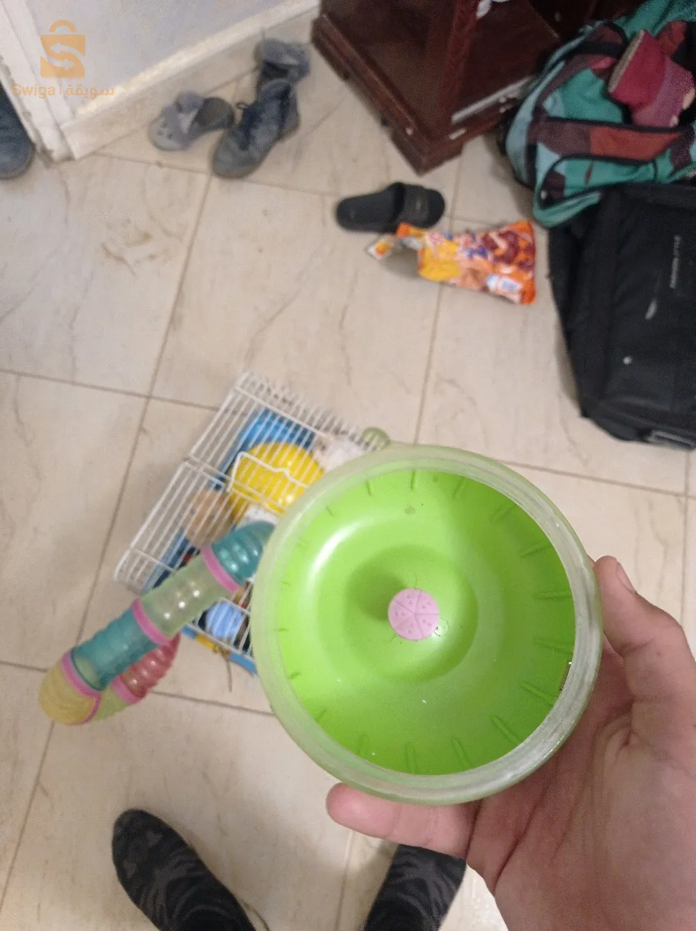 هامستر بالكاجا