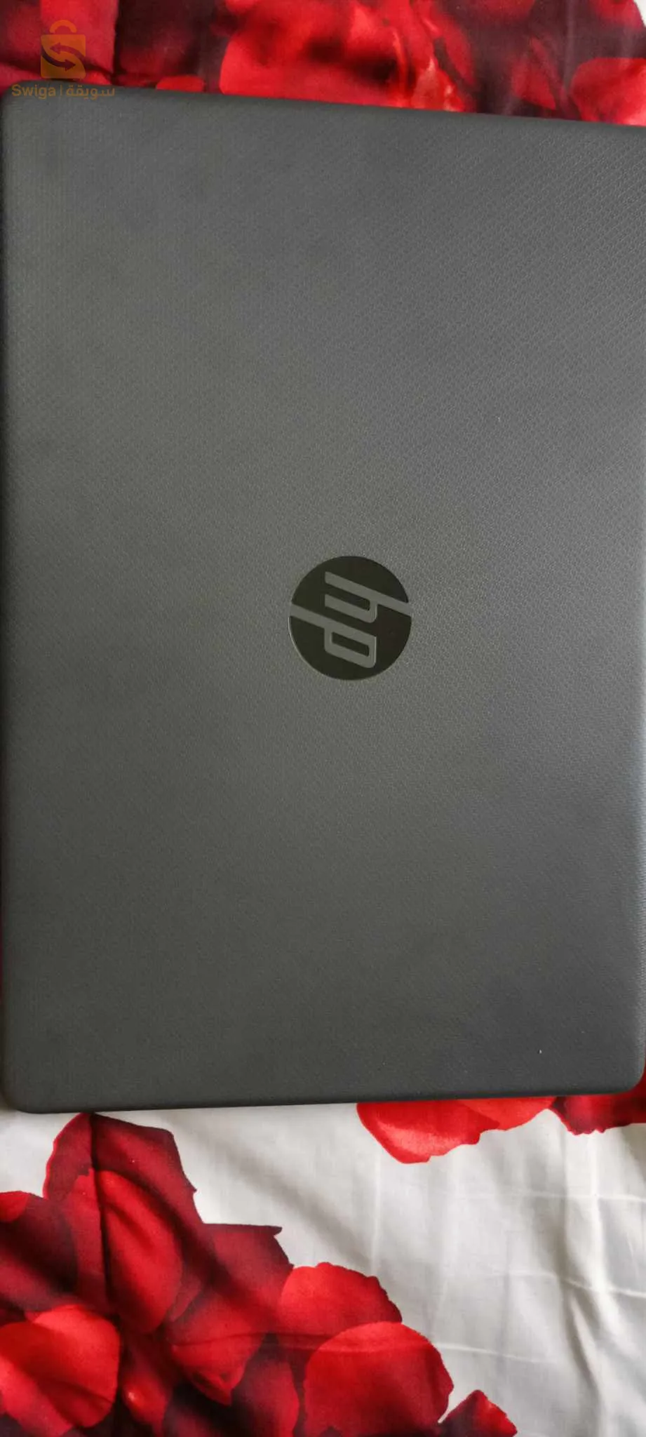 Djebahia, kadiria bouira