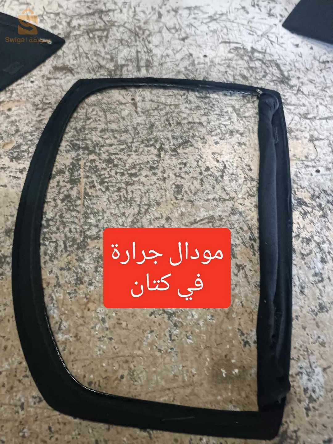 الشلف لاسيتي