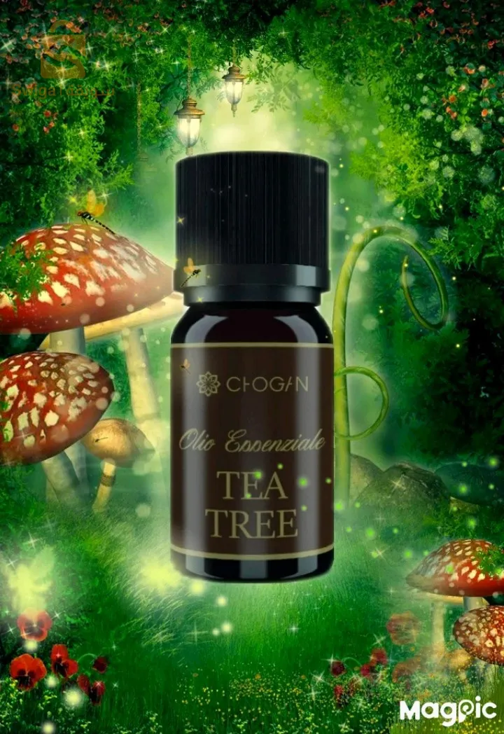 الزيوت الاساسية من شوڨان 
Huiles essentielles de chogan