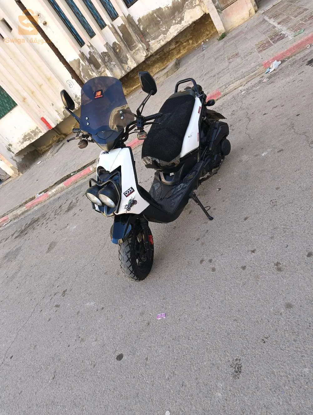 غليزان برمادية