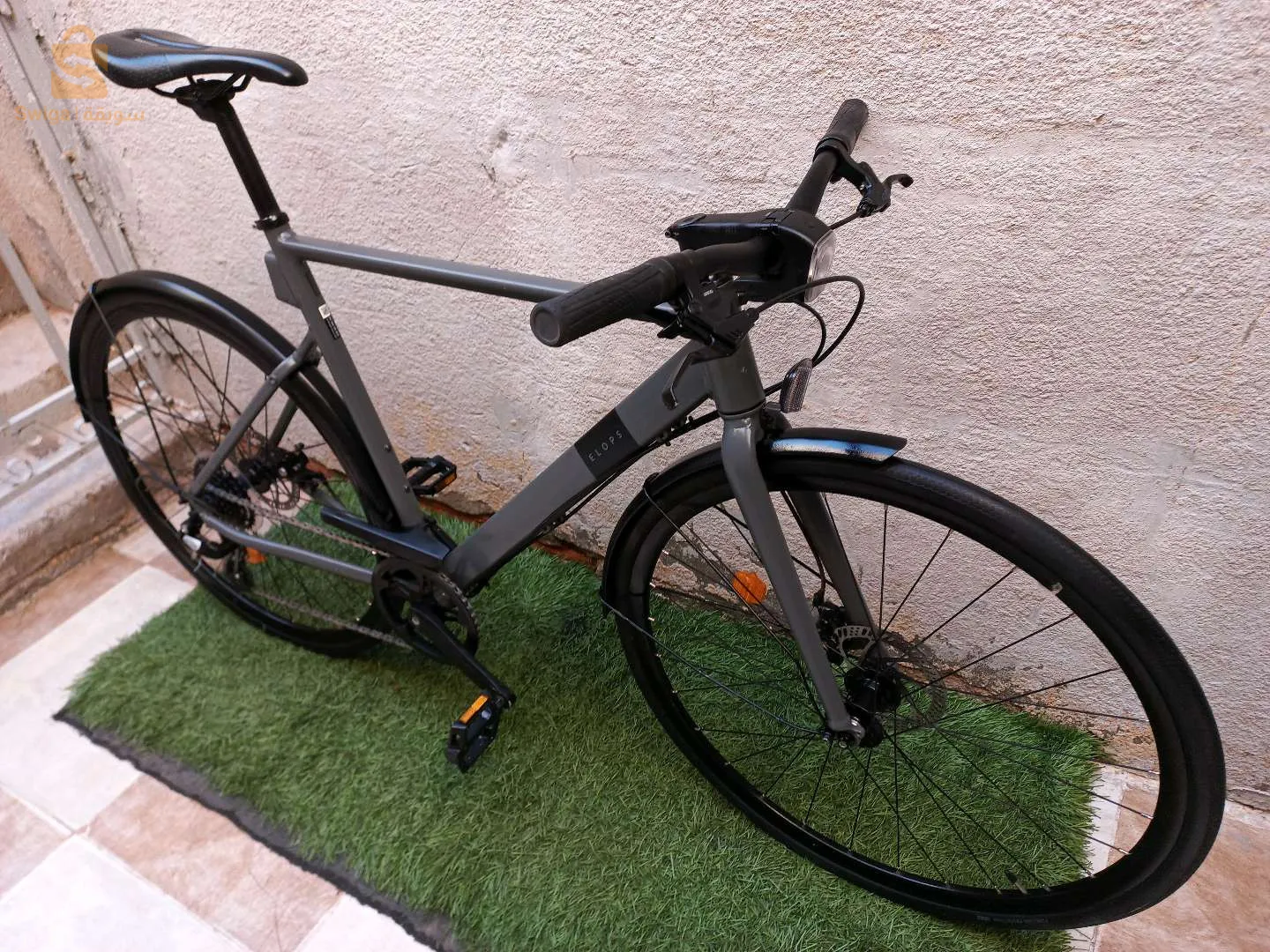 تماسين تقرت