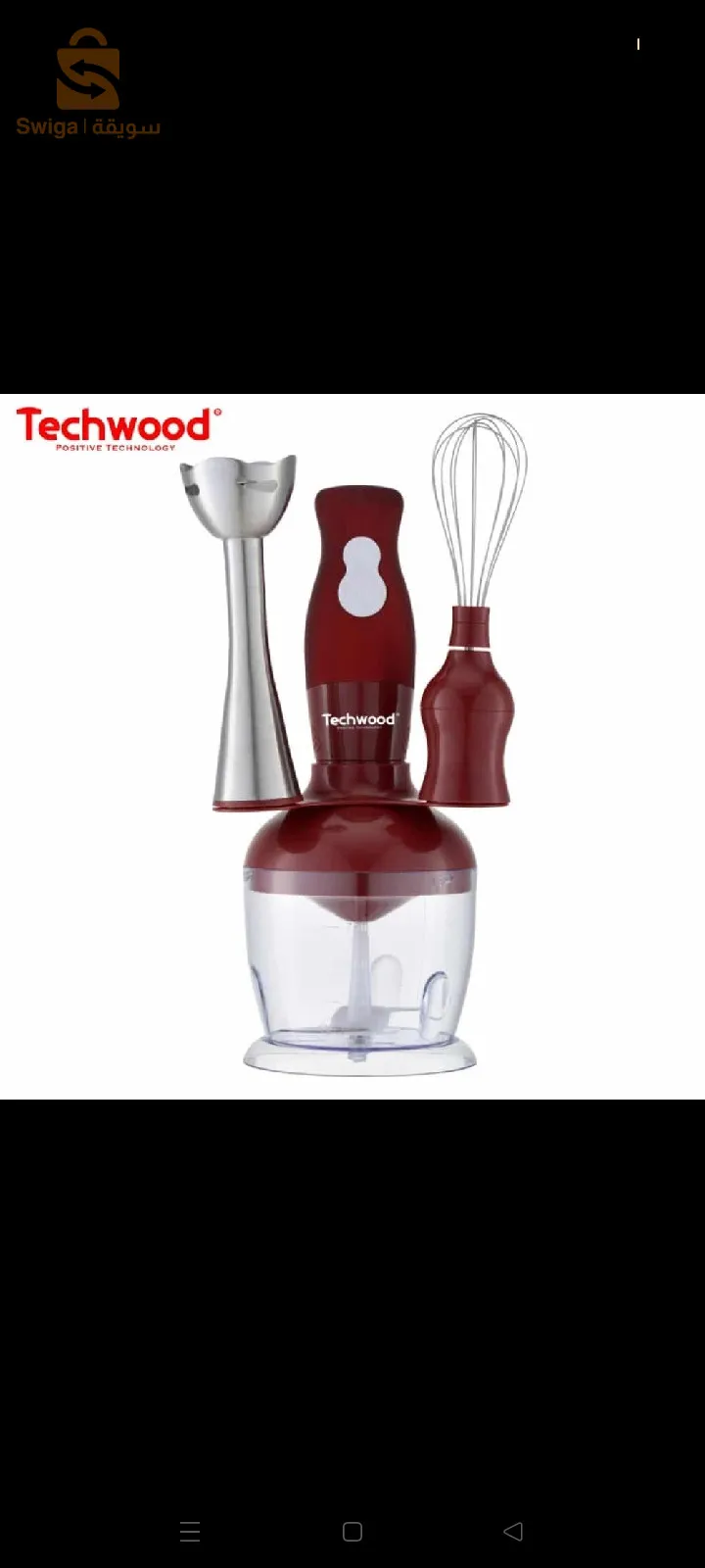 Mixeur Plongeant 3en1 300W 750mL Techwood