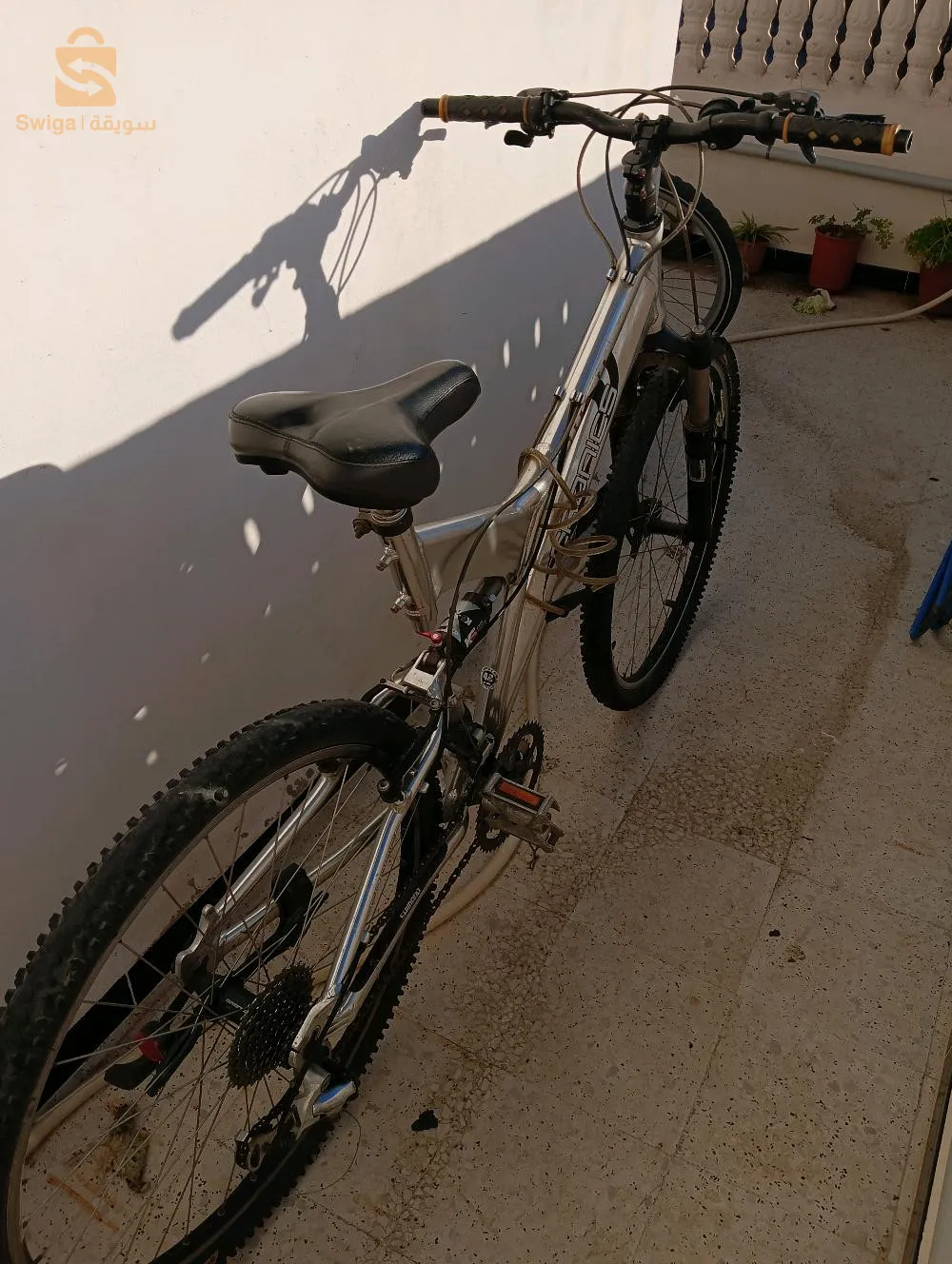 القبة حي الحياة