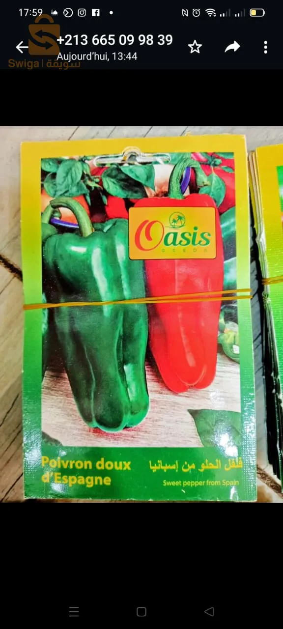 بذور ذات جودةعالية