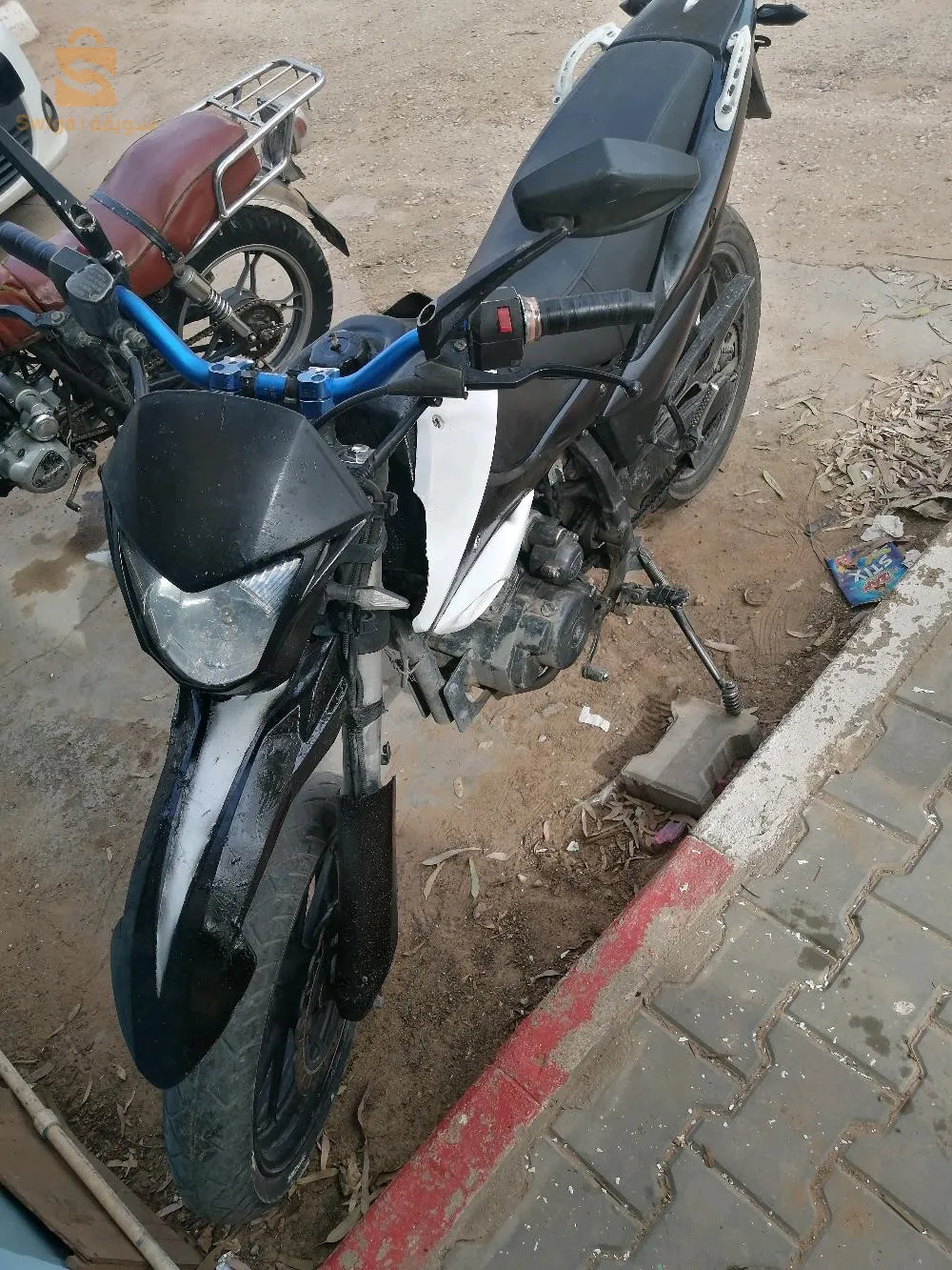 موجوده في الاغواط