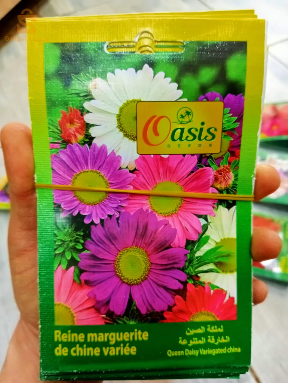 بذور ذات جودةعالية