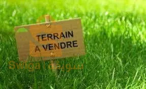 terre agricole
