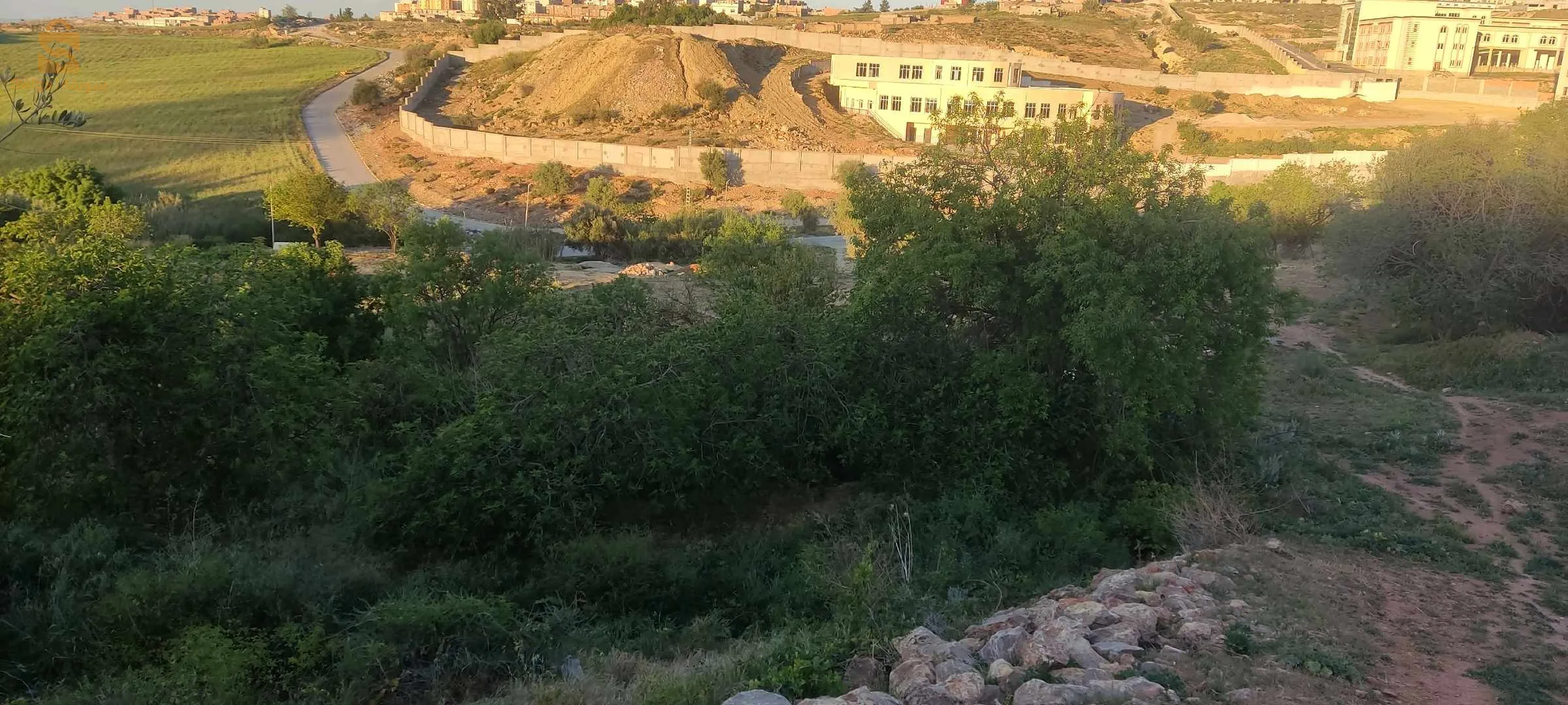 شتوان عين الحوت