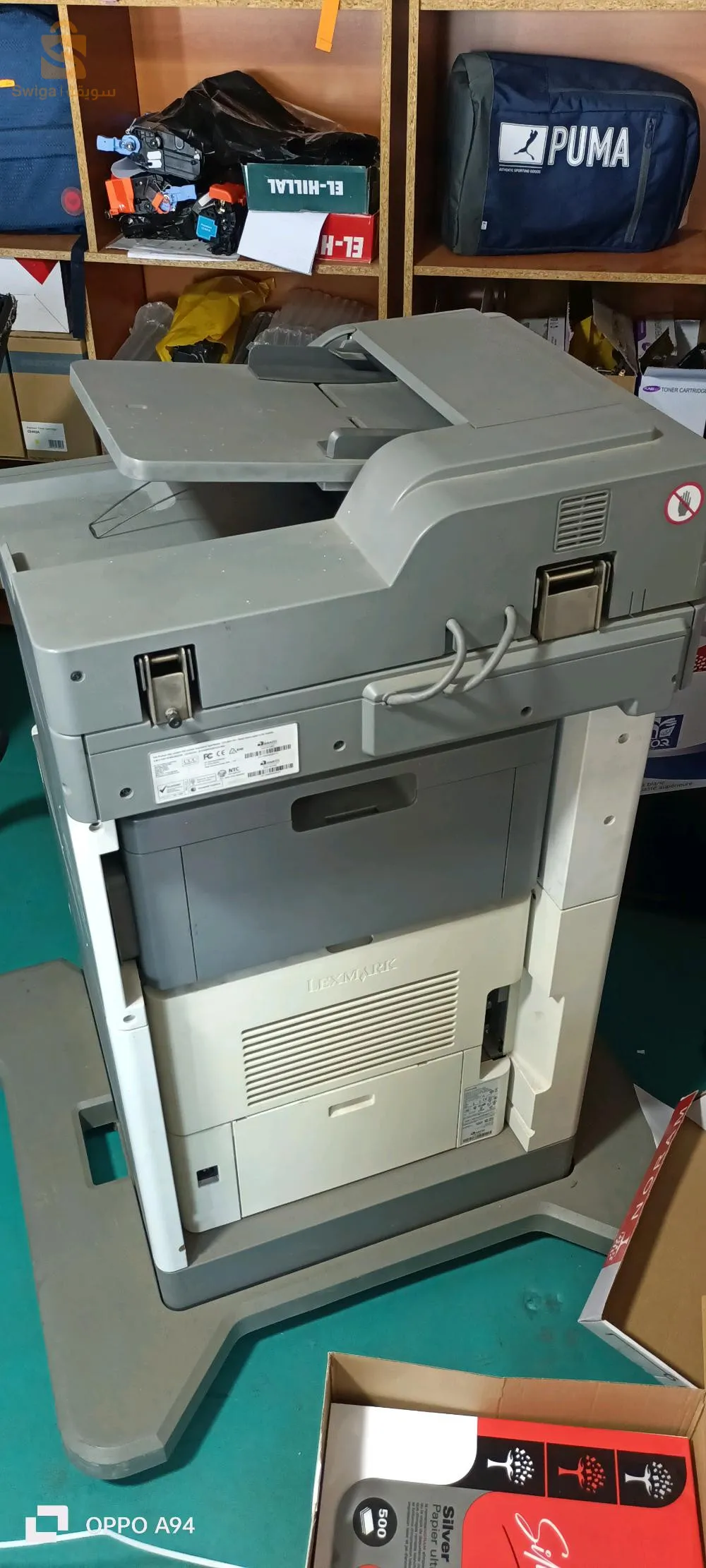 تيبازة