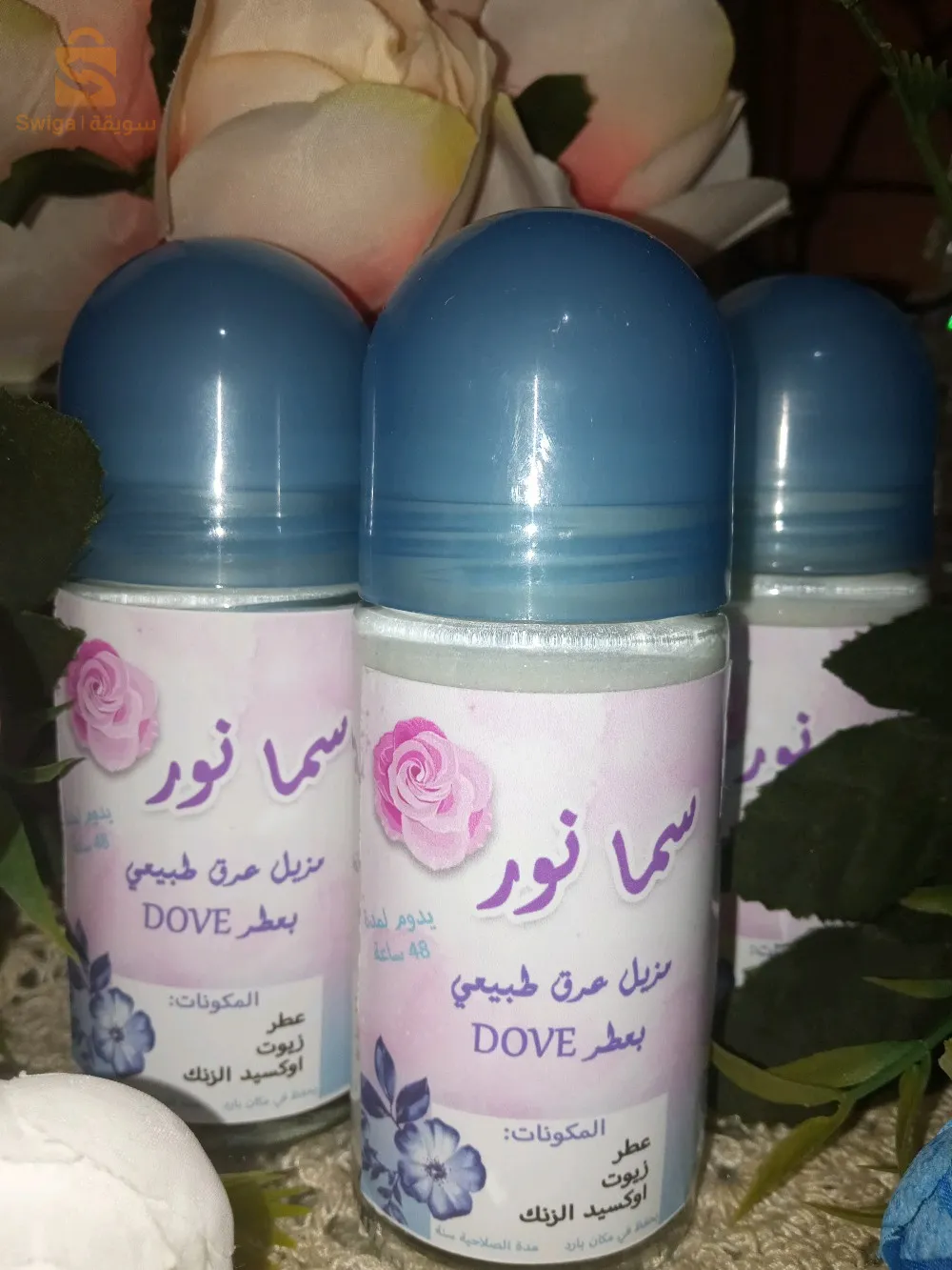 عين الدفلى