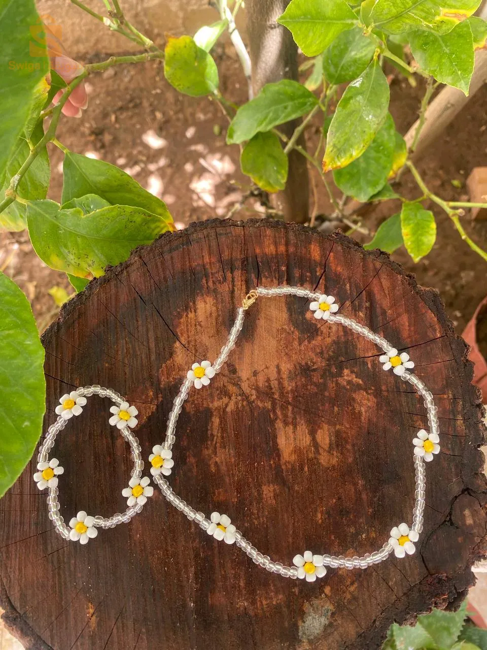 الجزائر