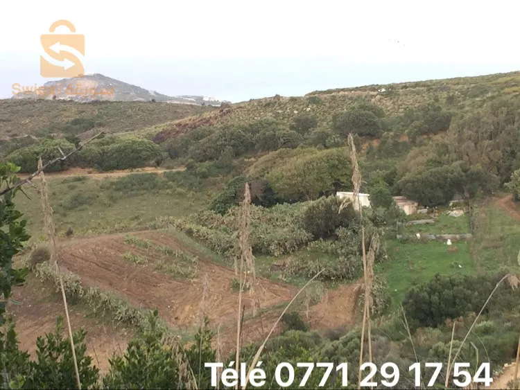عنابة ارض للبيع