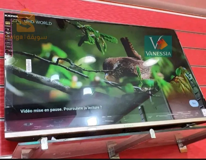 تلفزيون  43 بوس سمارت