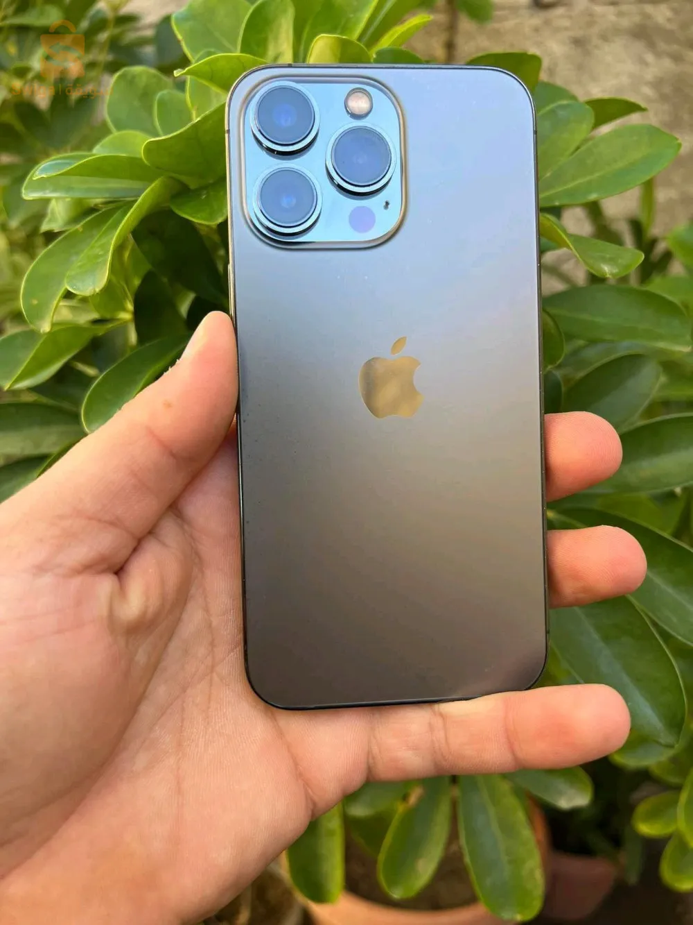 13 Pro