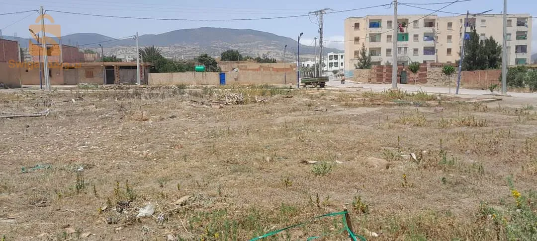 حي الزيتون تلعصة ابولحسان شلف