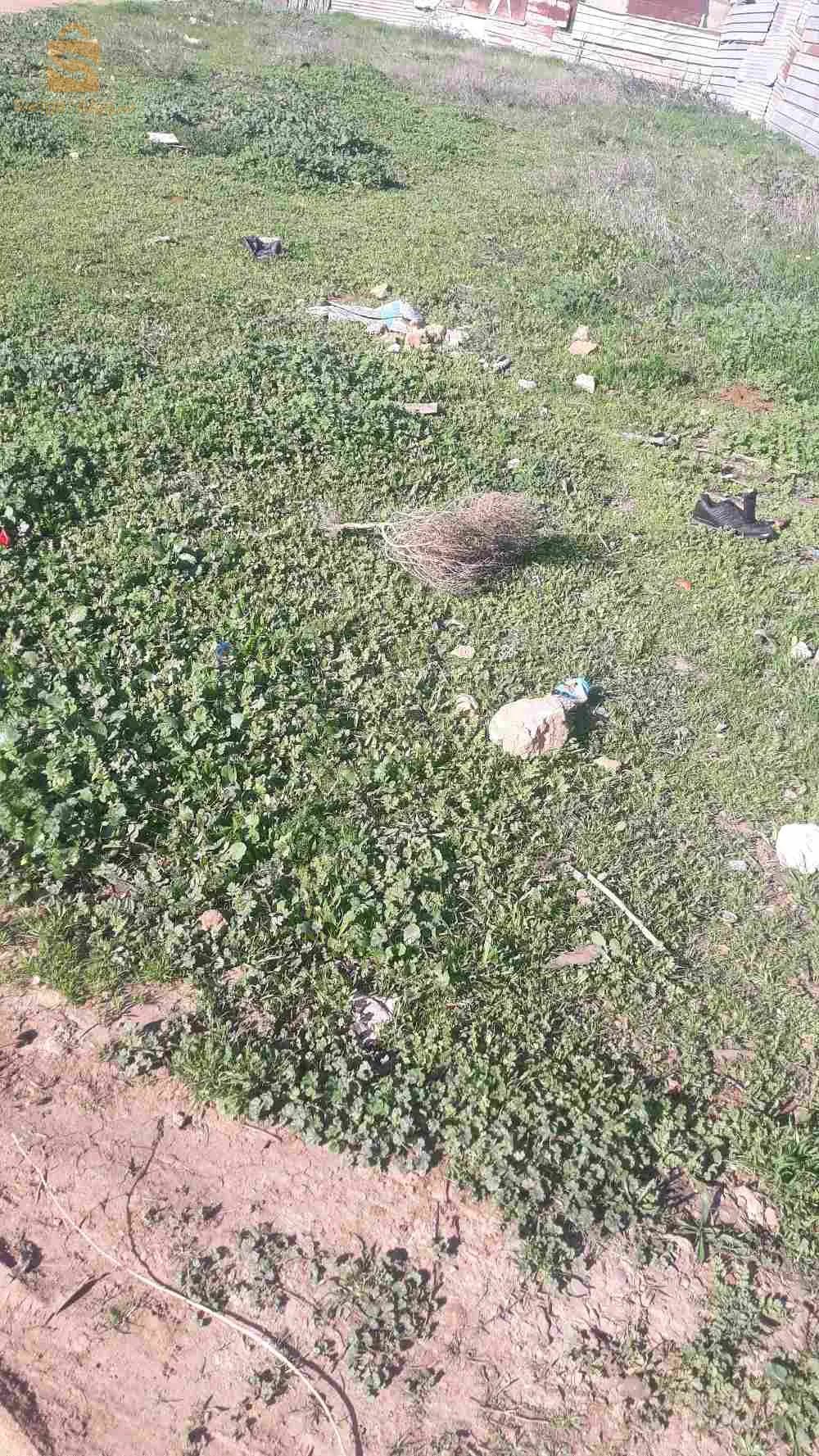 0555215113 Contactez-moi pour plus de détails