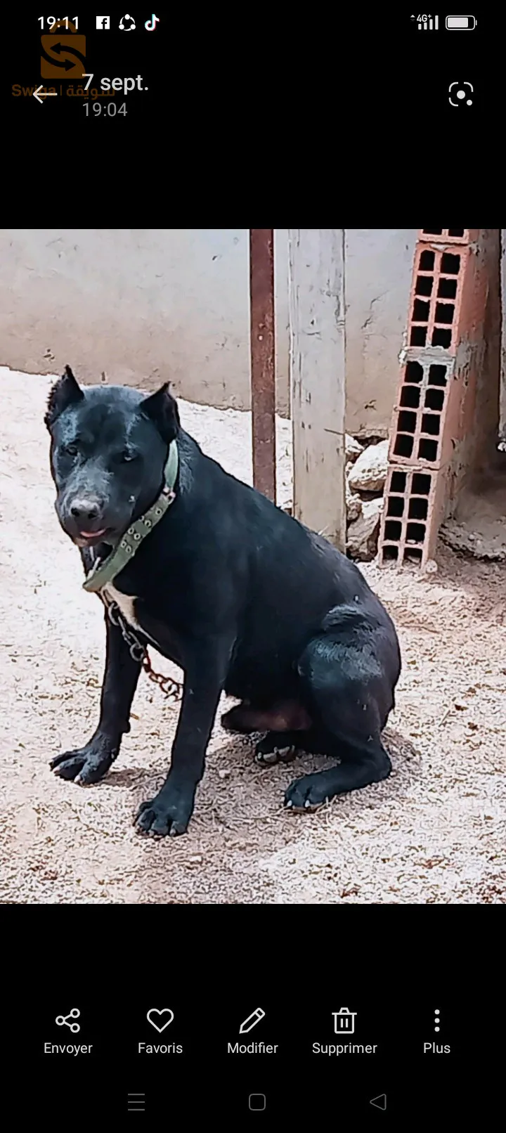 بحيرة الطيور ولاية الطارف