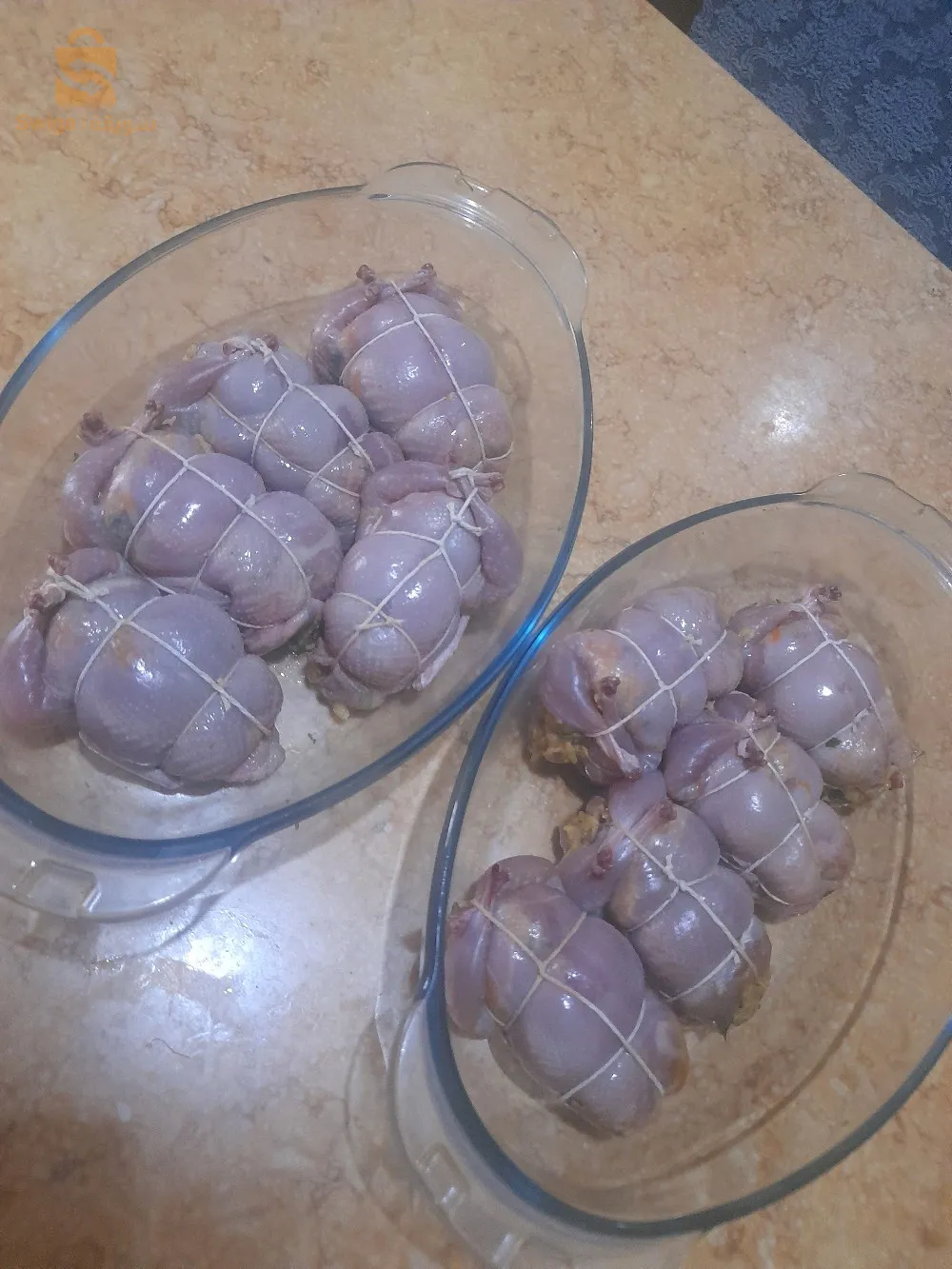 المدية