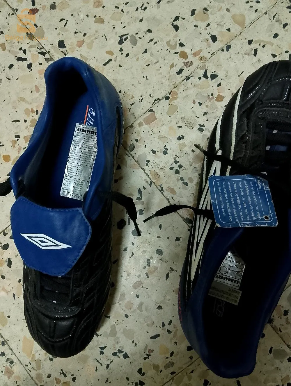 بالابيض سيد الشيخ