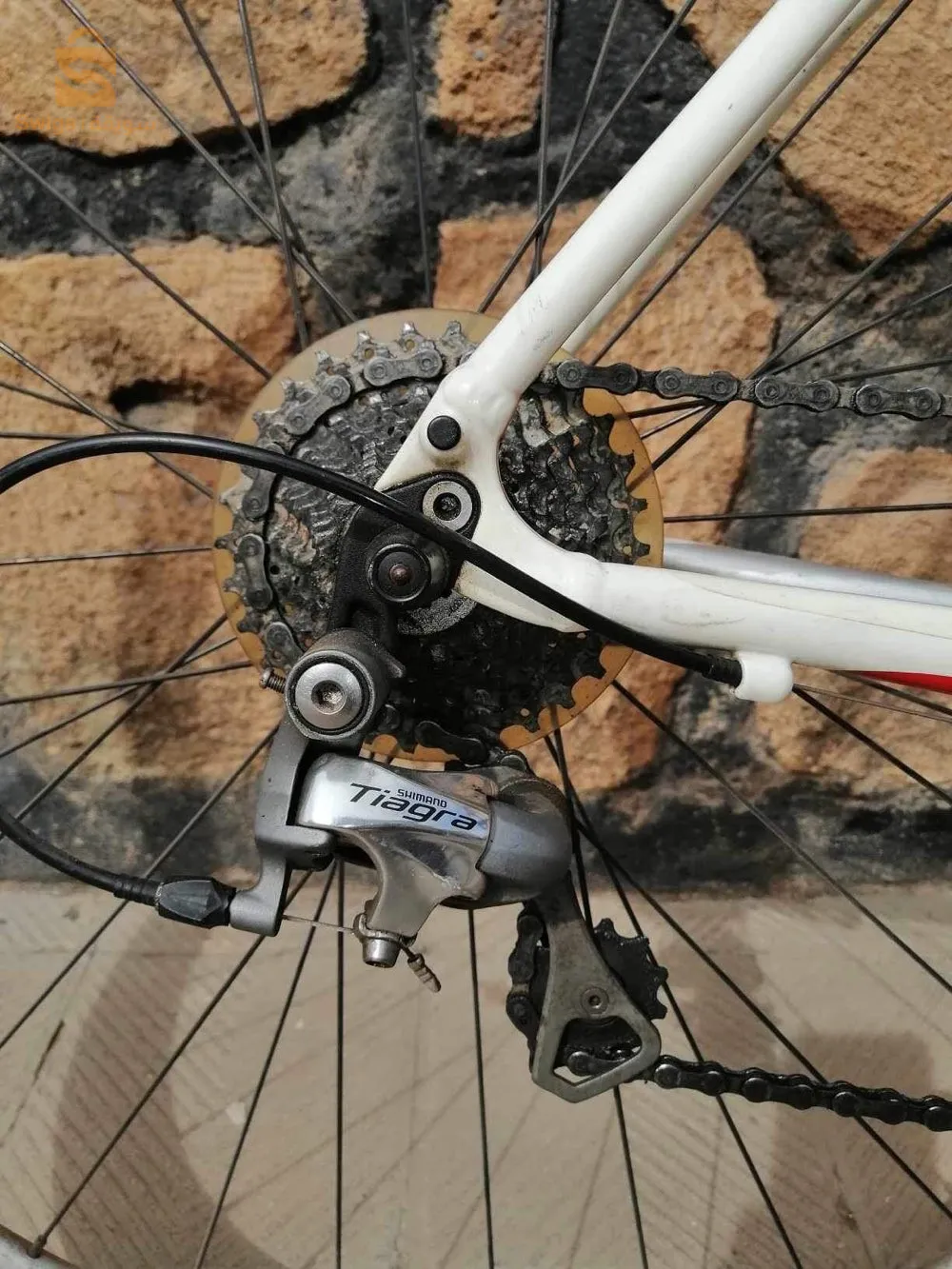 vélo course taille 54