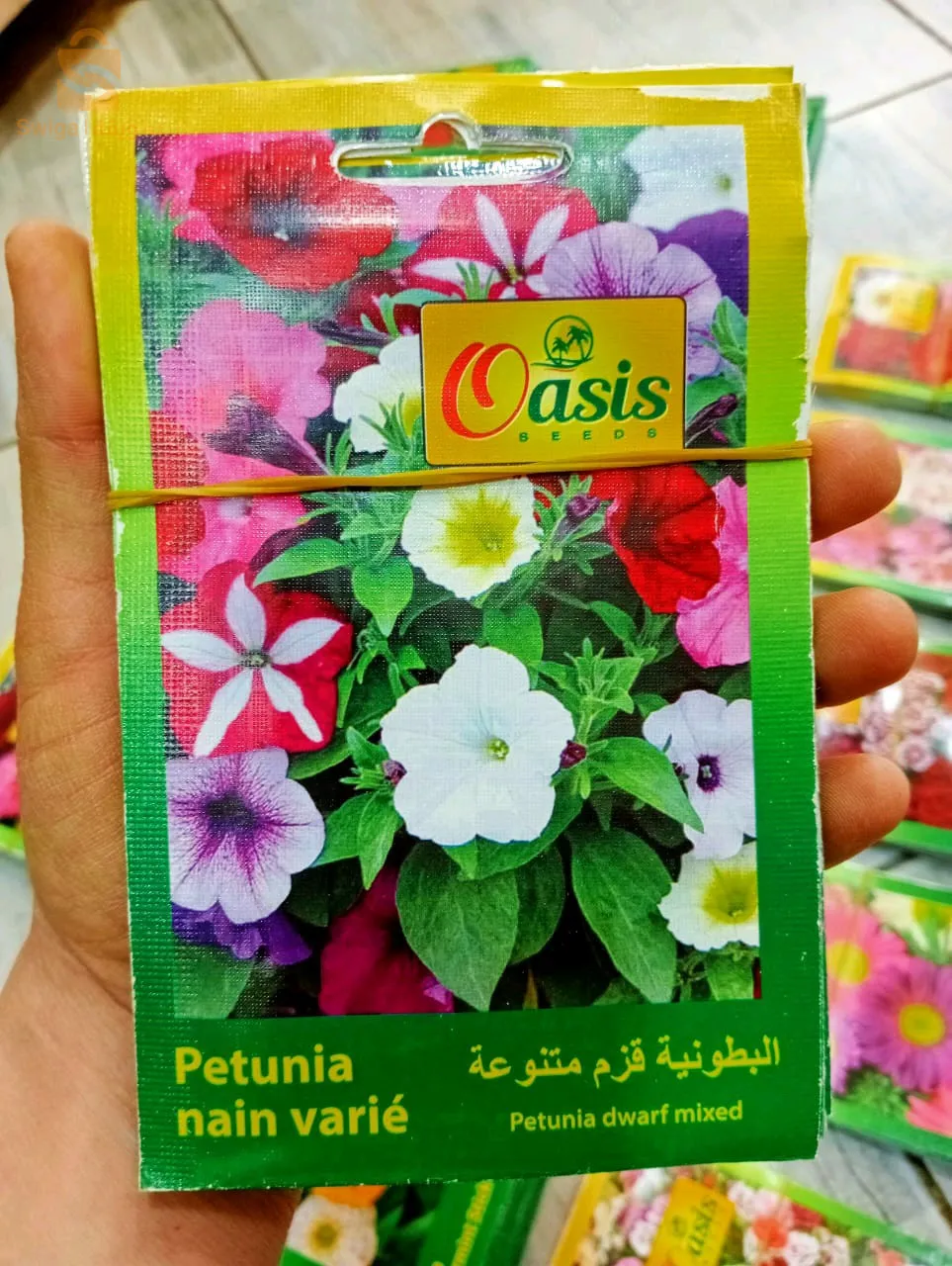 بذور ذات جودةعالية