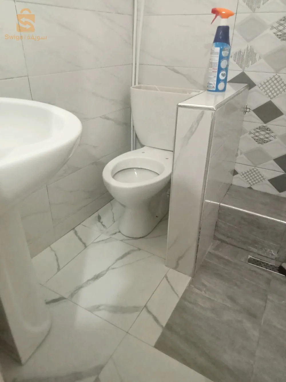 peintre professionnel