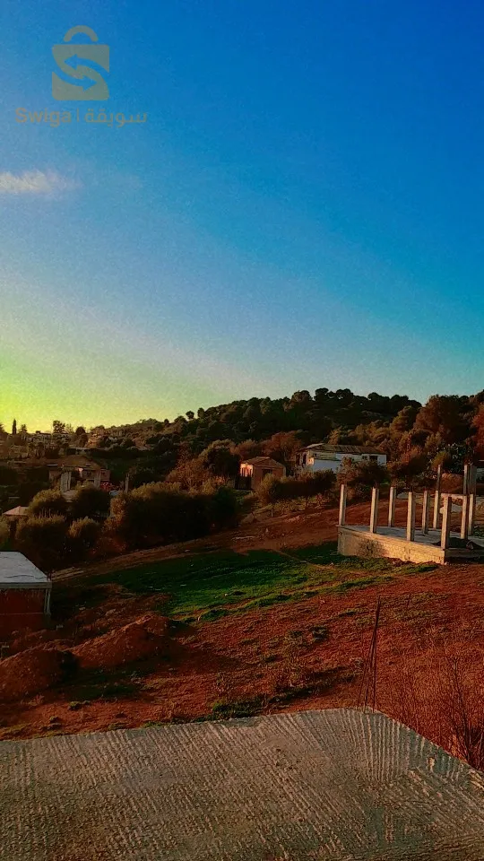 الناظور تيبازة