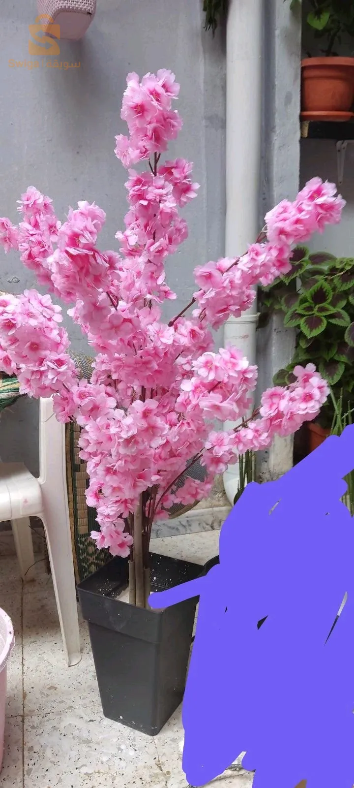 ورود اصطناعية جملة و ديطاي