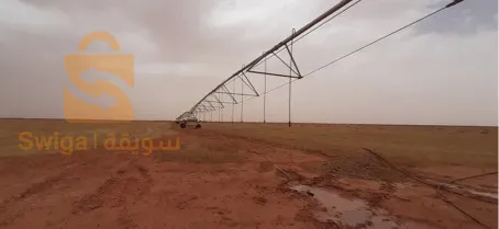 ارض فلاحية للبيع