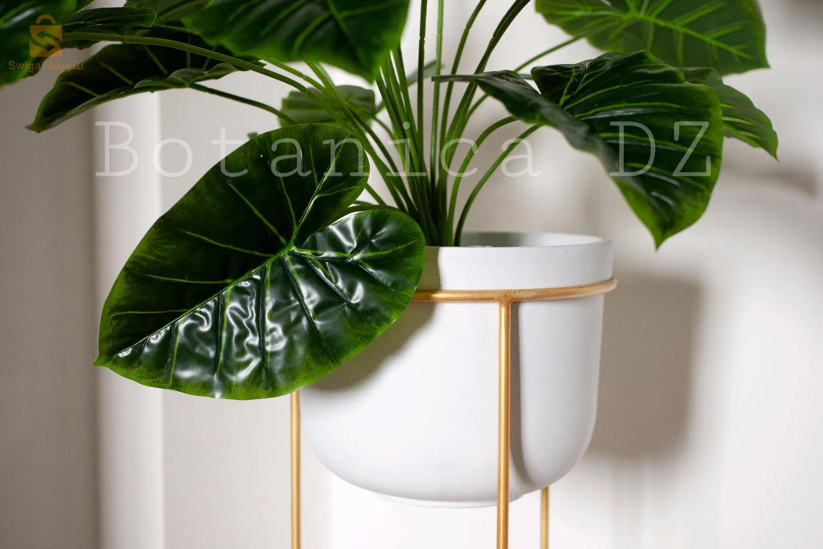 plantes d'intérieur ☘️ artificielles et naturelles avec pot en terre cuite et support en bois ou en fer ❤️
