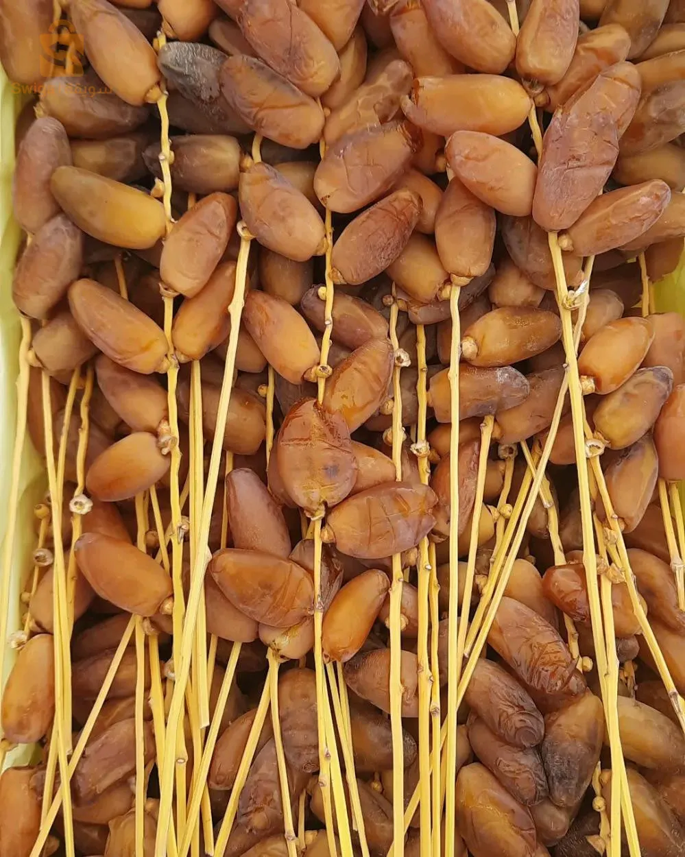 تمور جديدة ذو جودة عالية