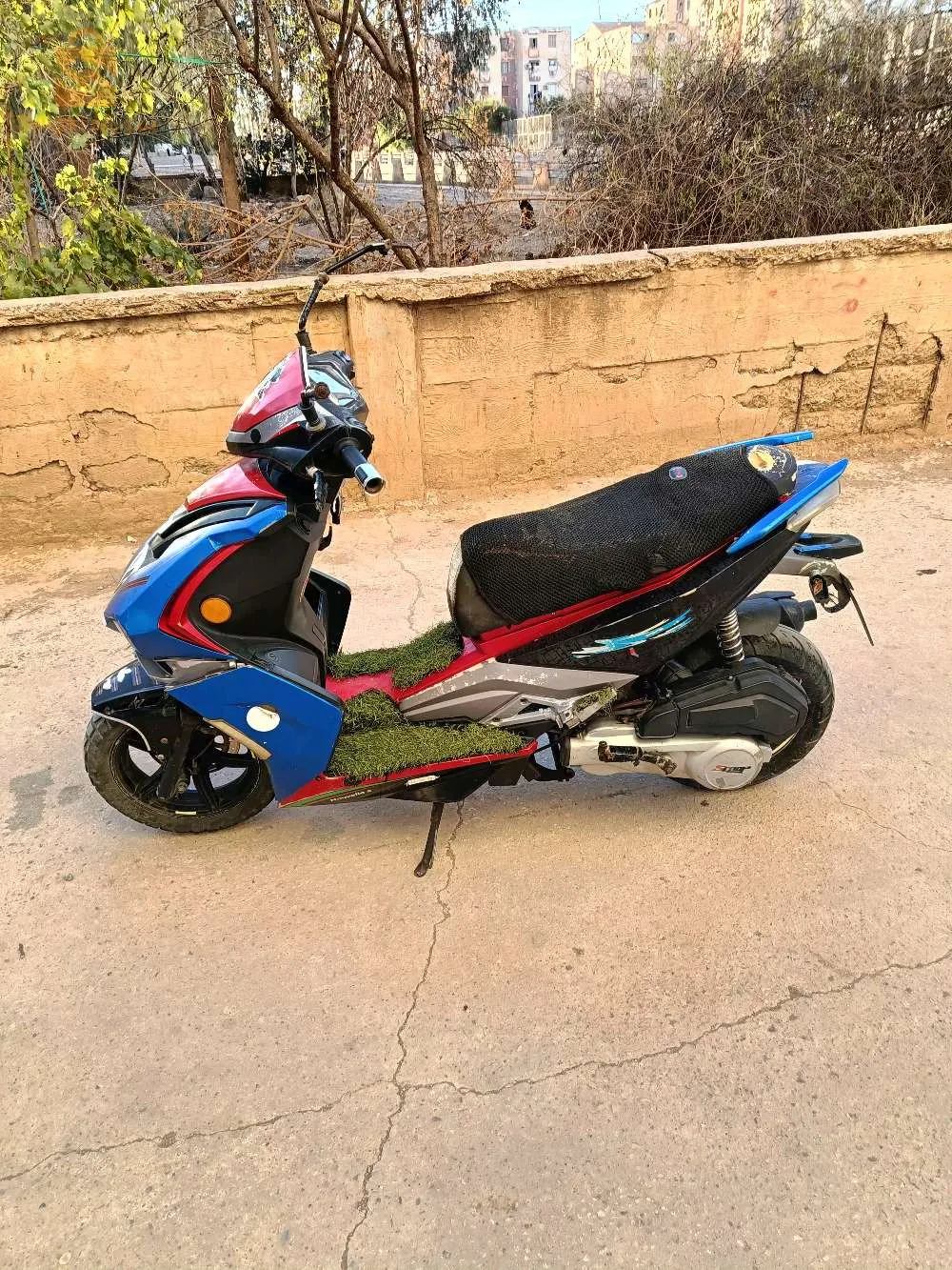 GEVATTI novelle s