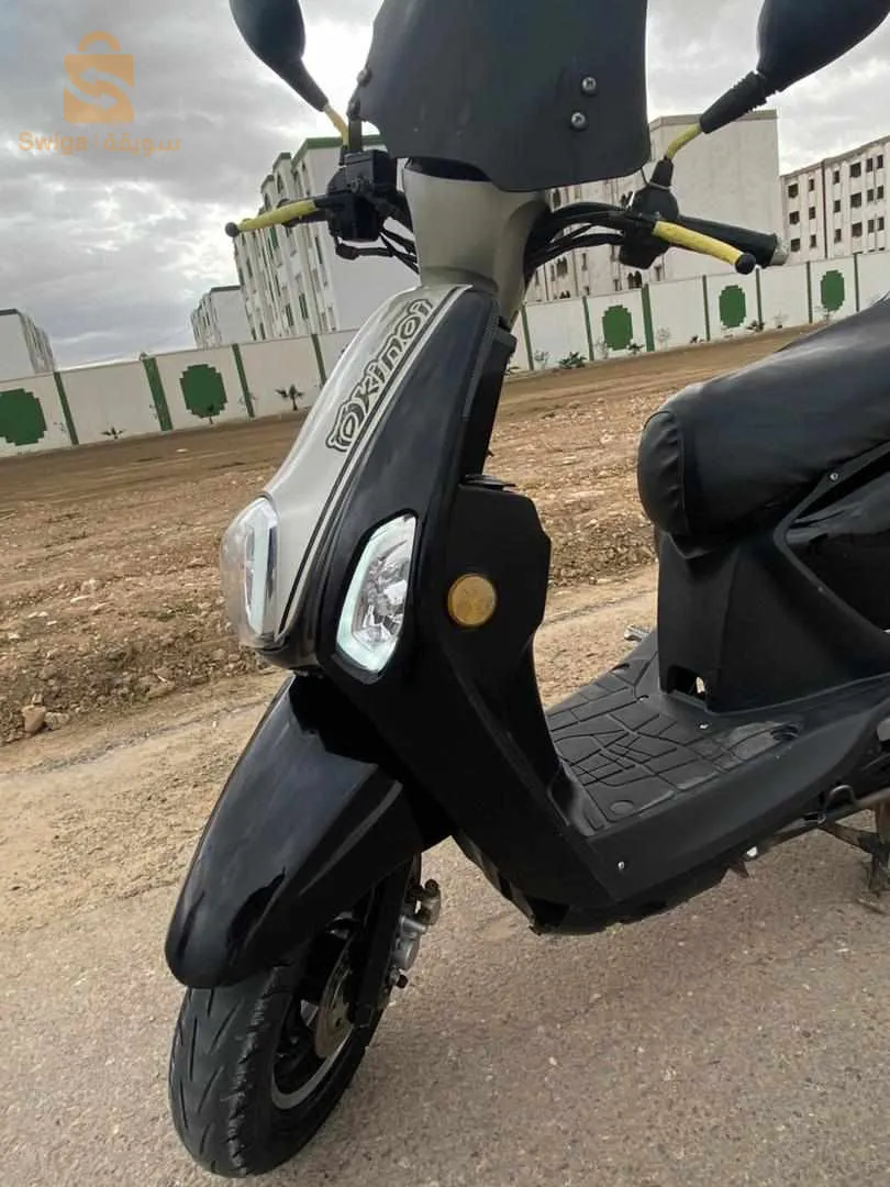 جديدة مفيها حتى حاجة