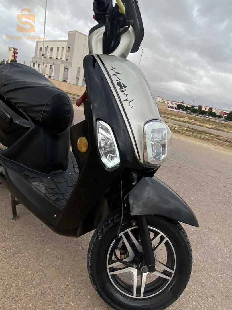 جديدة مفيها حتى حاجة